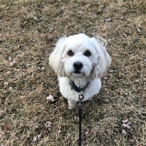 Meet your Posher, Veronika